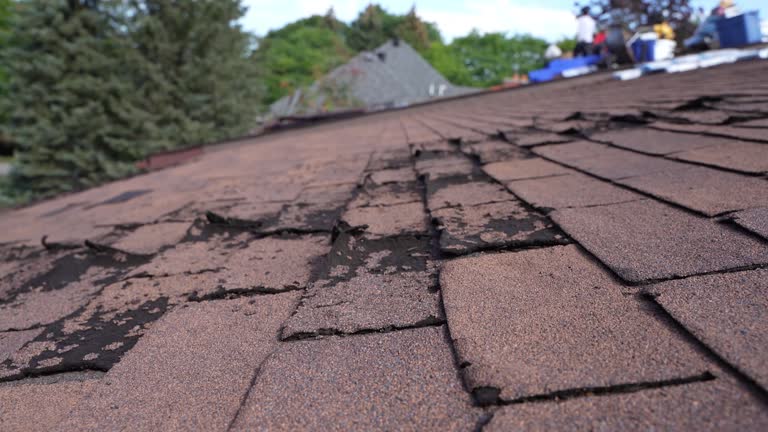Best Roof Inspection  in Hartley, CA