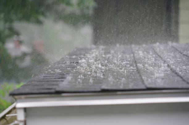 Best Roof Insulation Installation  in Hartley, CA