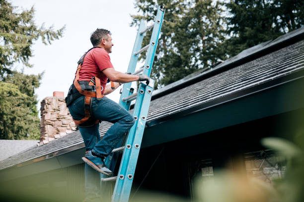 Best Roof Maintenance and Cleaning  in Hartley, CA