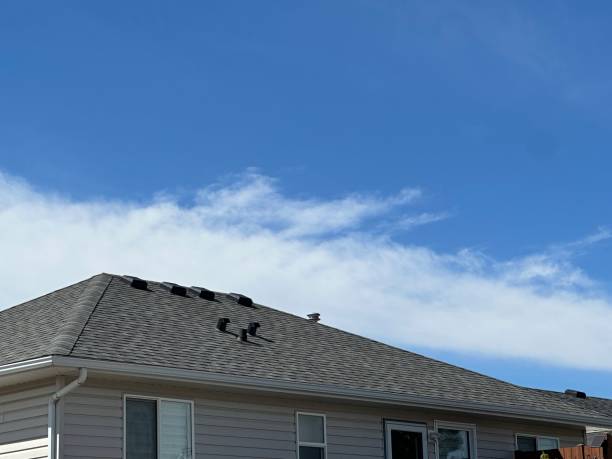 Best Roof Ventilation Installation  in Hartley, CA